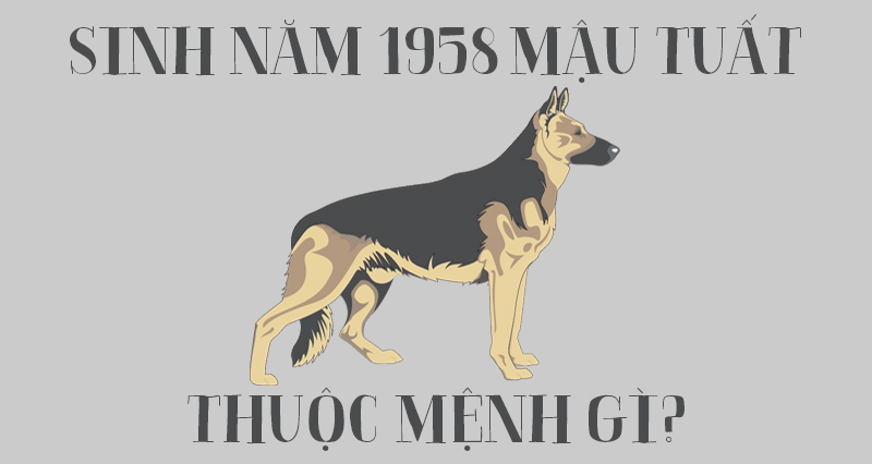 Thông tin về sinh năm 1958 mệnh gì