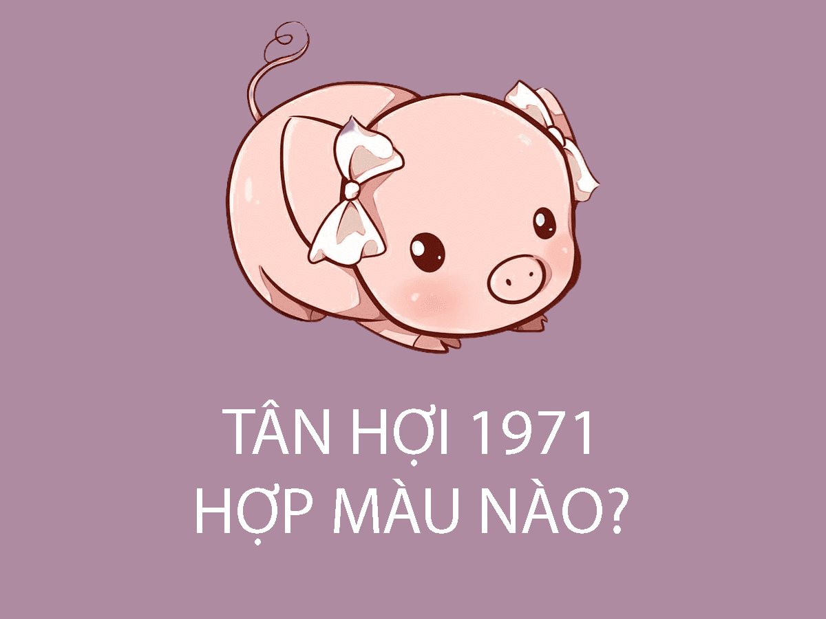 Màu sắc hợp kỵ của người sinh năm Tân Hợi