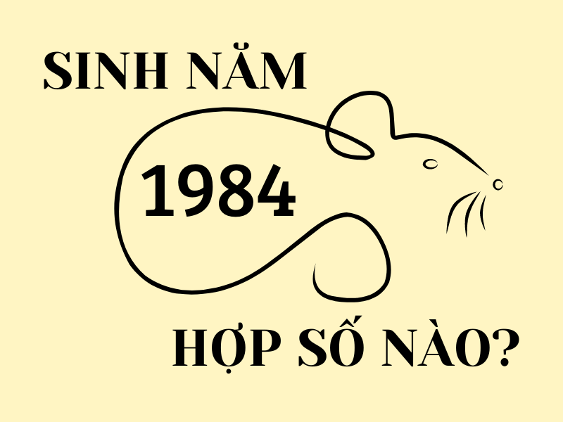 sinh năm 1984 mệnh gì