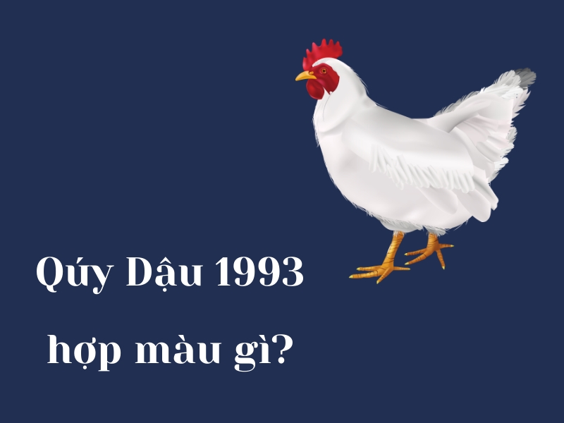 Quý Dậu 1993 hợp màu gì