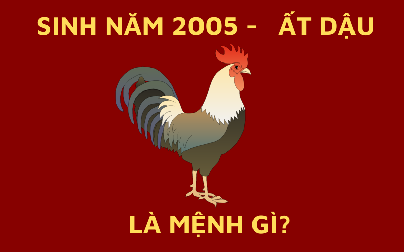 Sinh năm 2005 mệnh gì