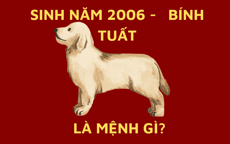 Sinh năm 2006 mang mệnh gì?