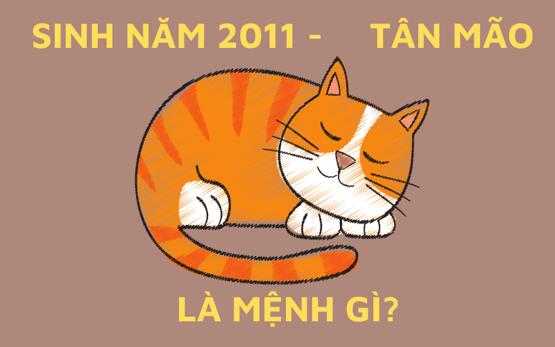 Người sinh năm 2011 mệnh gì?